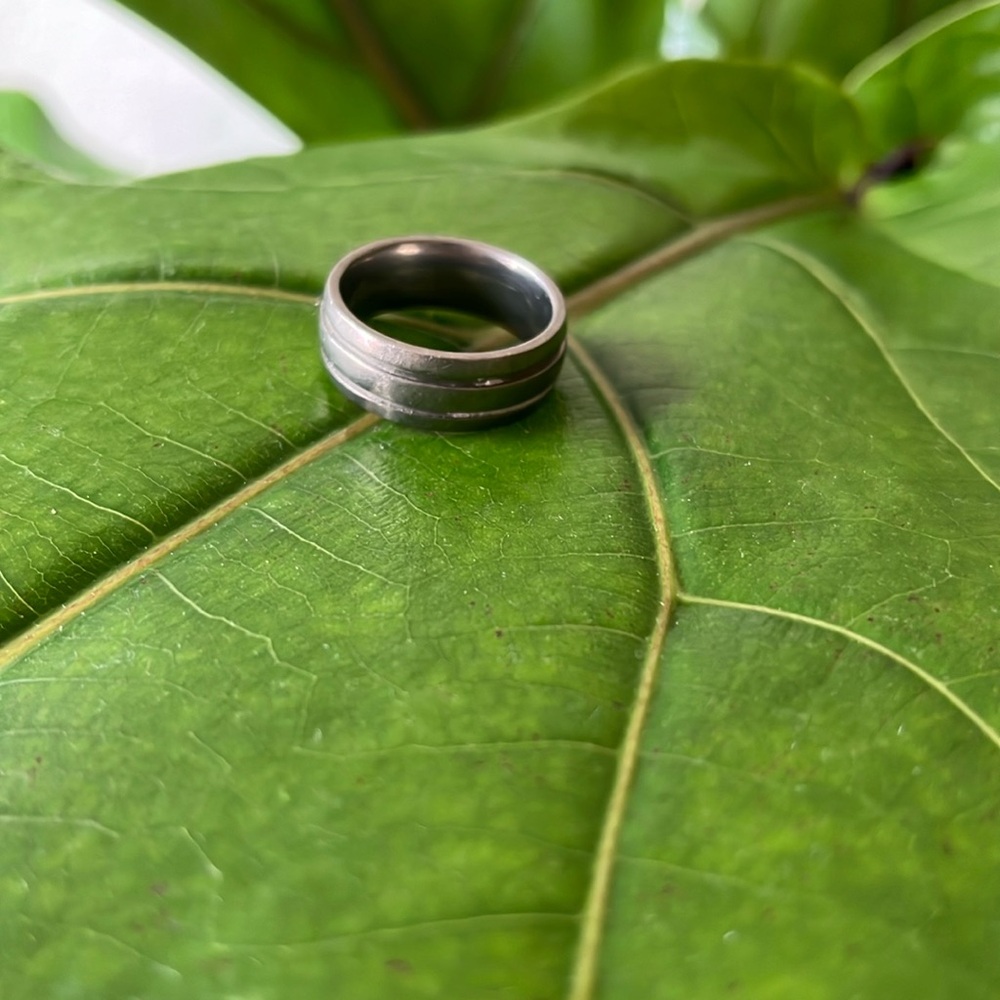 Titanium Wedding Ring - image 1